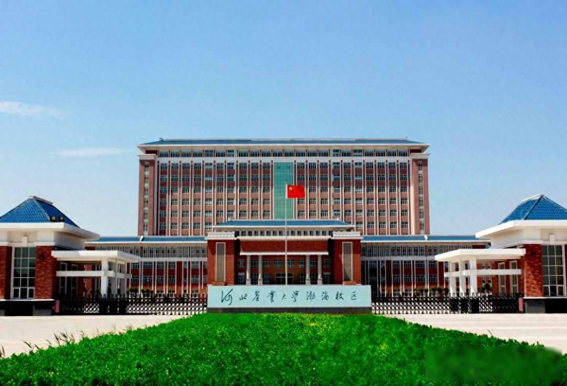 河北高考竞争惨！警惕假大学骗术，家长学生别被低分高录坑