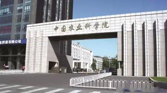 研究所与大学生活对比:科研项目、补贴及学术氛围等角度分析