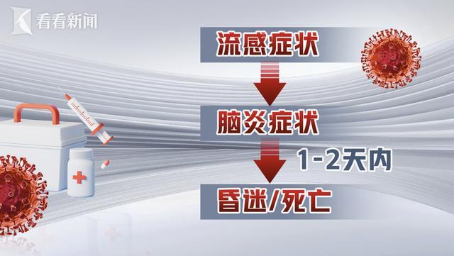 印度现尼帕病毒确诊病例,疫情对我国影响几何?