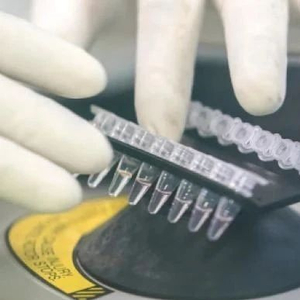 广东本土疫情传播链延长,两地现祖孙三代感染情况